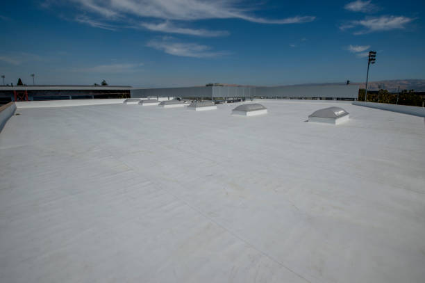 Best Roof Insulation Installation  in Dumas, TX